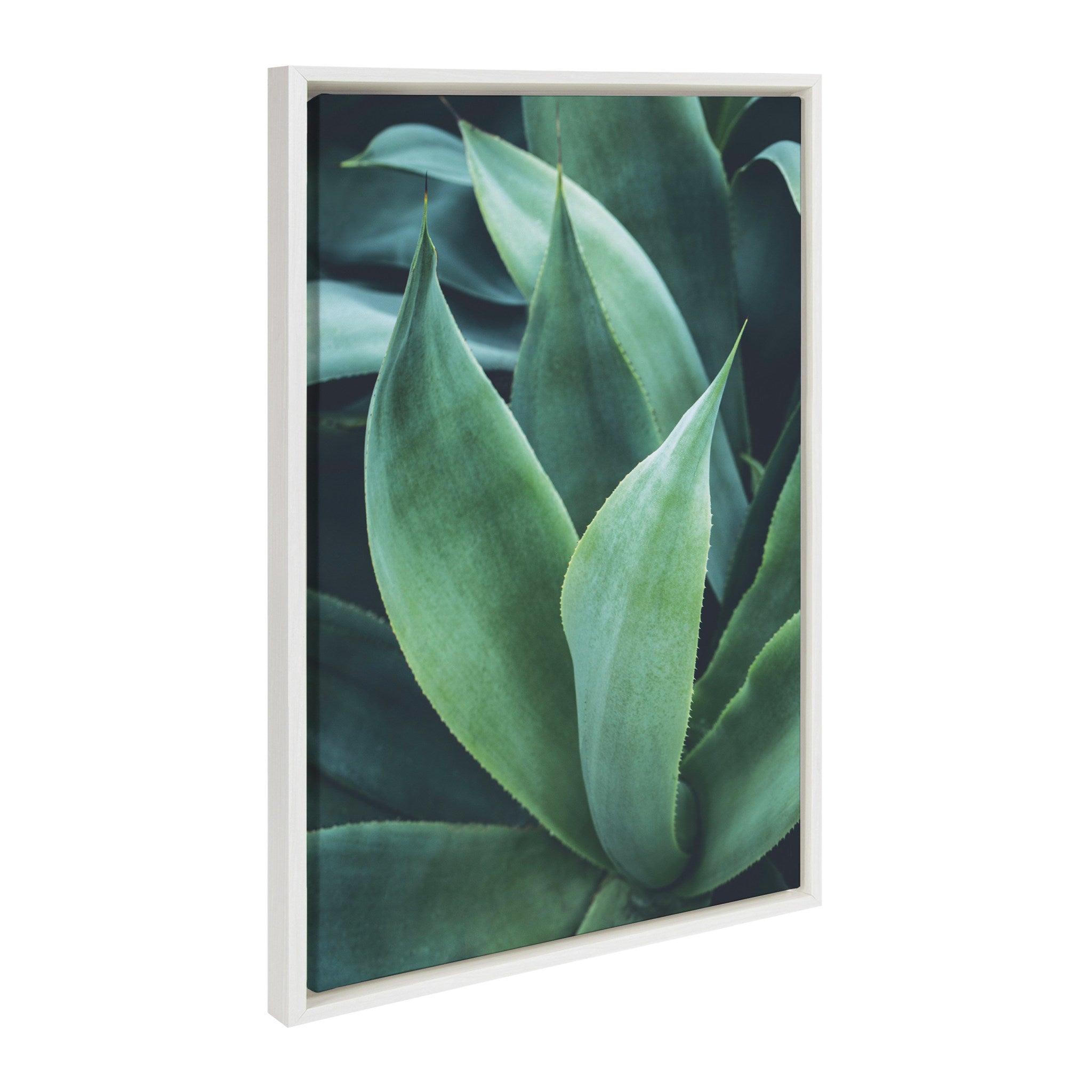 Sylvie Agave II Framed Canvas by kateandlaurel - product image 2 for Resin Society