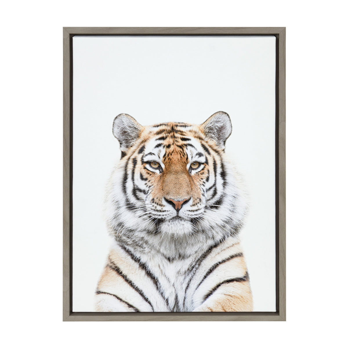 Centered portrait of a tiger with orange and black stripes against a plain white background, framed in a simple wood frame.