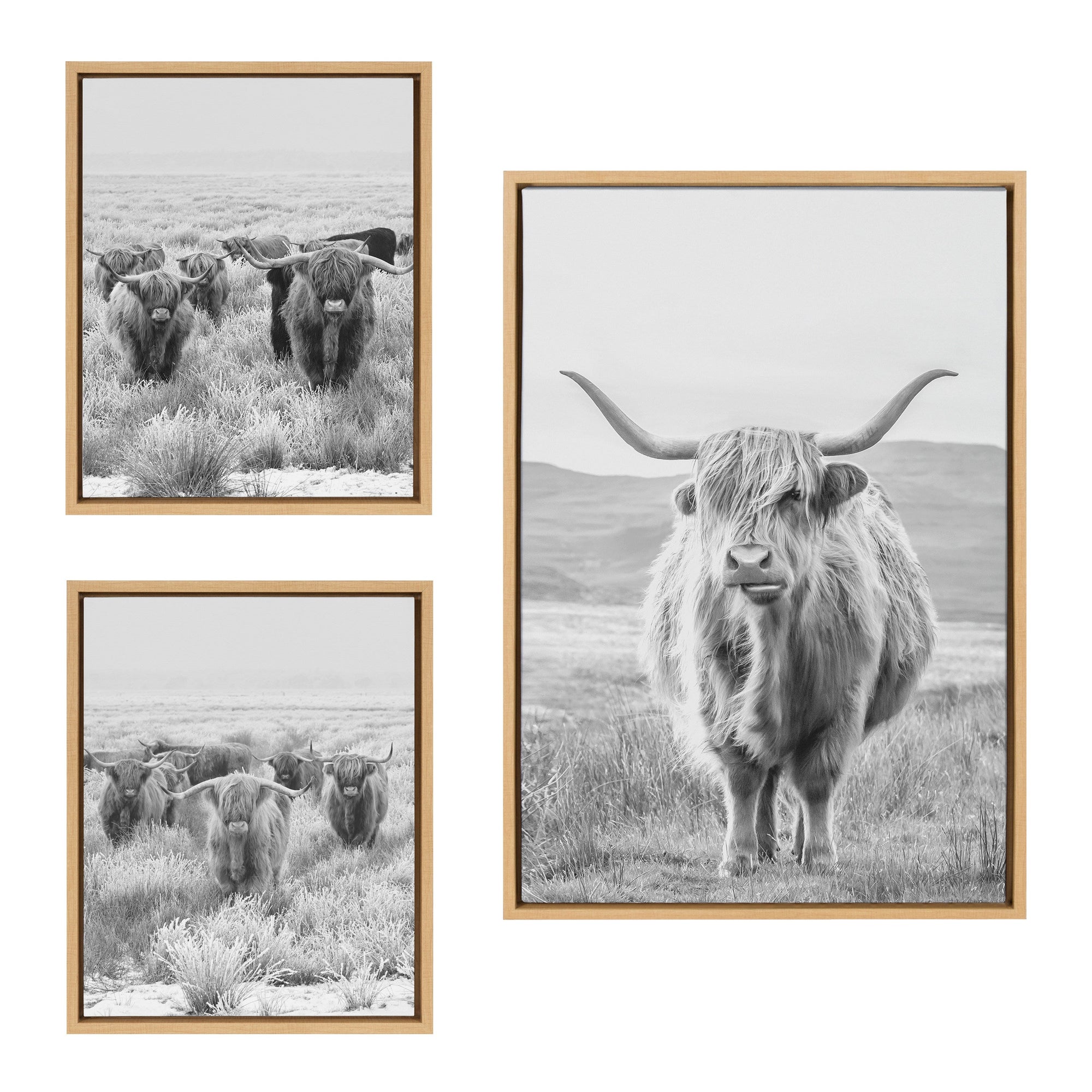 Three-piece framed black and white canvas art set featuring herds of Highland cows and mountain landscape by The Creative Bunch Studio