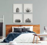 Sylvie Haze Cactus Succulent Tall Framed Canvas by kateandlaurel - product image 5 for Resin Society