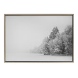 Sylvie Black and White Snow Day Framed Canvas by kateandlaurel - main product image for Resin Society