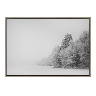Sylvie Black and White Snow Day Framed Canvas by kateandlaurel - main product image for Resin Society