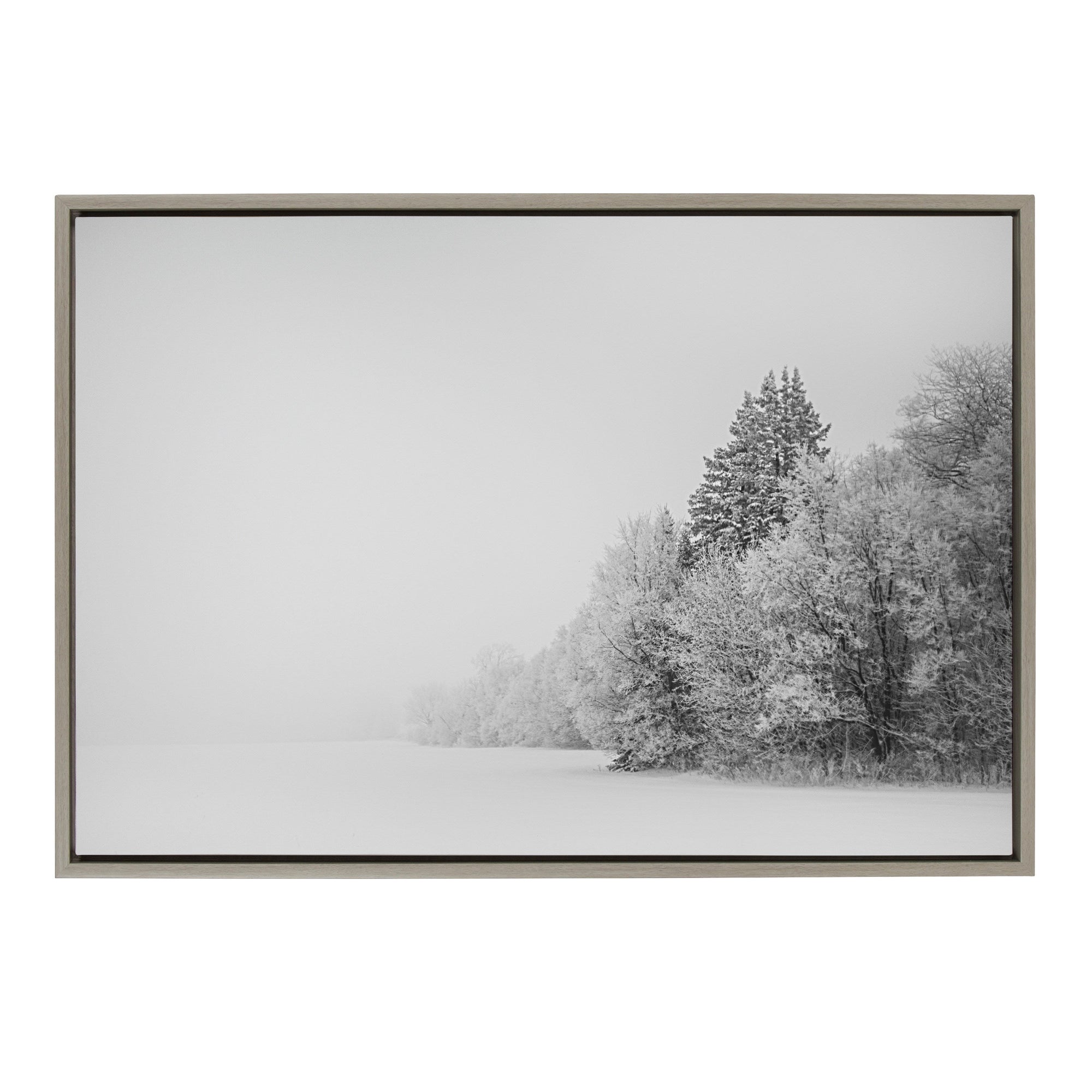 Sylvie Black and White Snow Day Framed Canvas by kateandlaurel - product image 10 for Resin Society