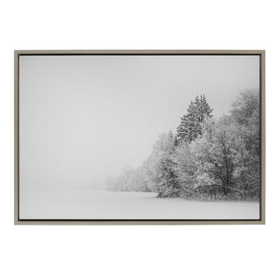 Sylvie Black and White Snow Day Framed Canvas by kateandlaurel - product image 10 for Resin Society