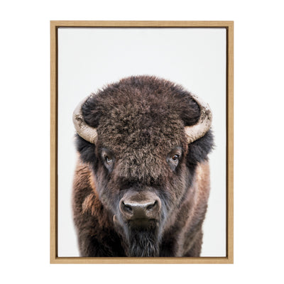 Sylvie Bison Portrait Framed Canvas by Amy Peterson Art Studio