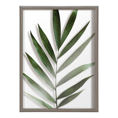 Blake Botanical 5F Framed Printed Glass by Amy Peterson by kateandlaurel - product image 8 for Resin Society