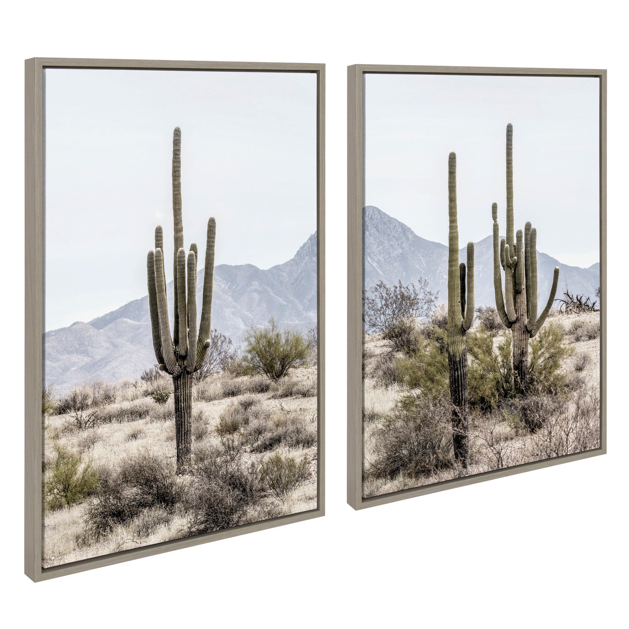 Sylvie Tall Saguaro Cacti Desert Mountain 1 and 2 Framed Canvas by kateandlaurel - main product image for Resin Society
