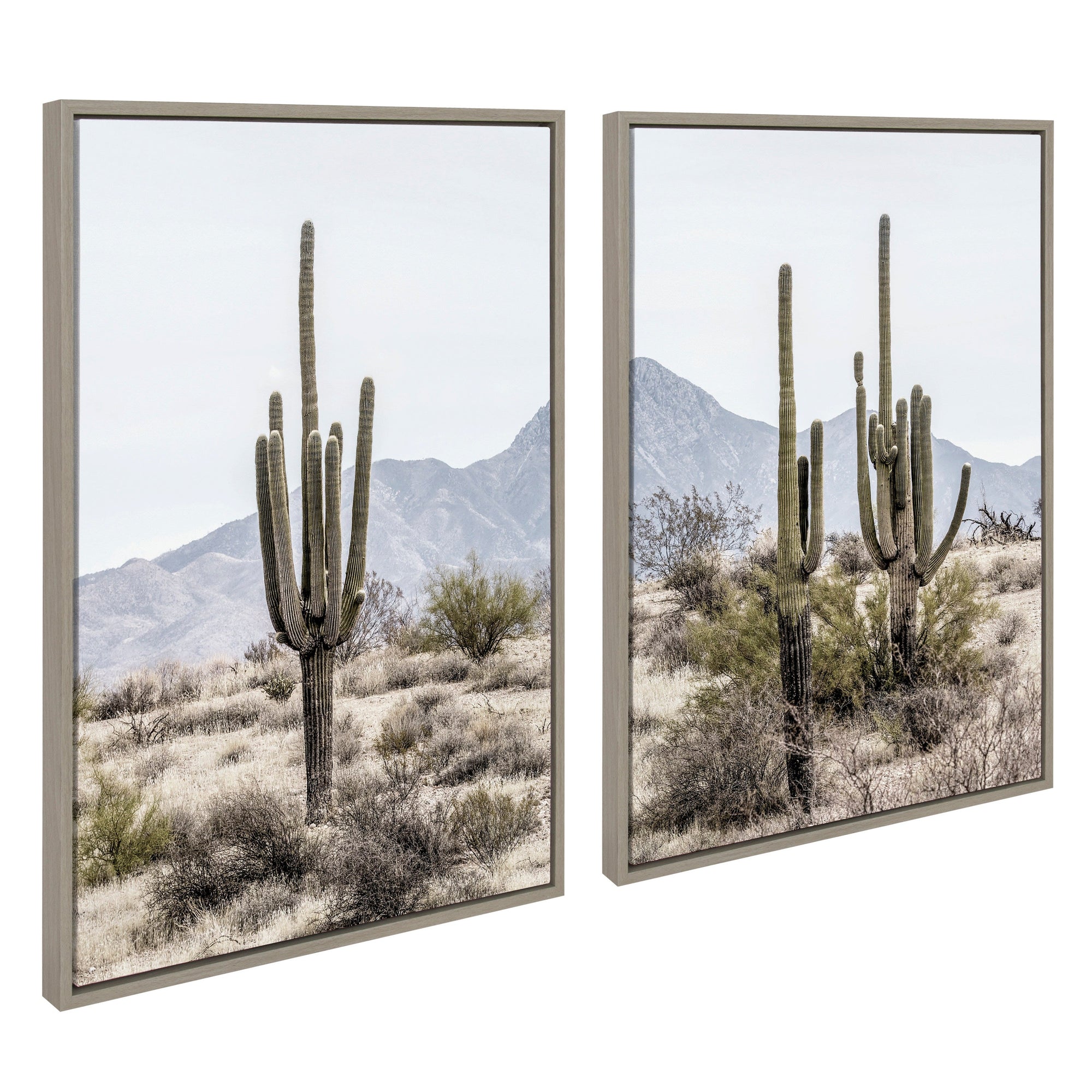 Sylvie Tall Saguaro Cacti Desert Mountain 1 and 2 Framed Canvas by kateandlaurel - product image 7 for Resin Society