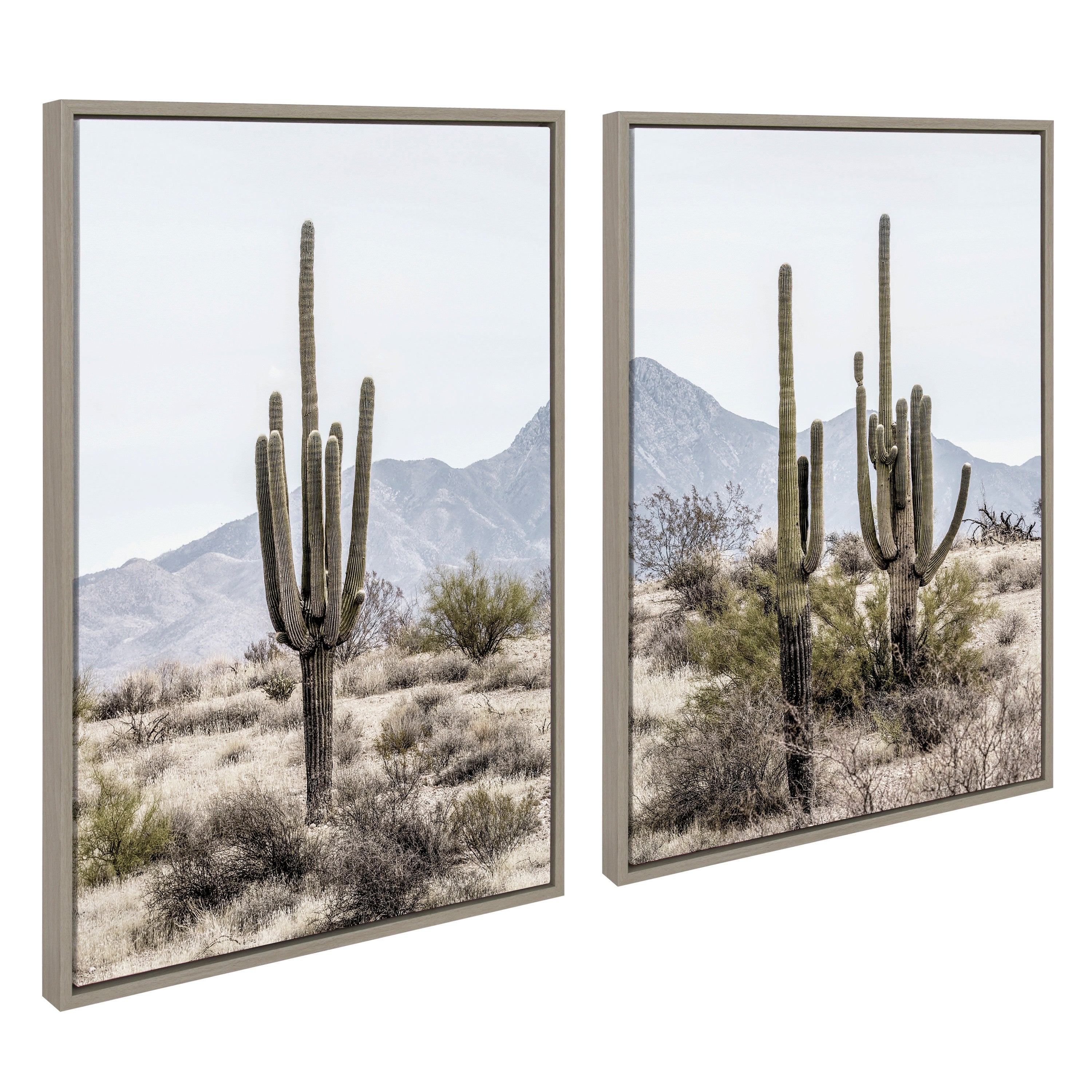 Sylvie Tall Saguaro Cacti Desert Mountain 1 and 2 Framed Canvas by kateandlaurel - product image 7 for Resin Society