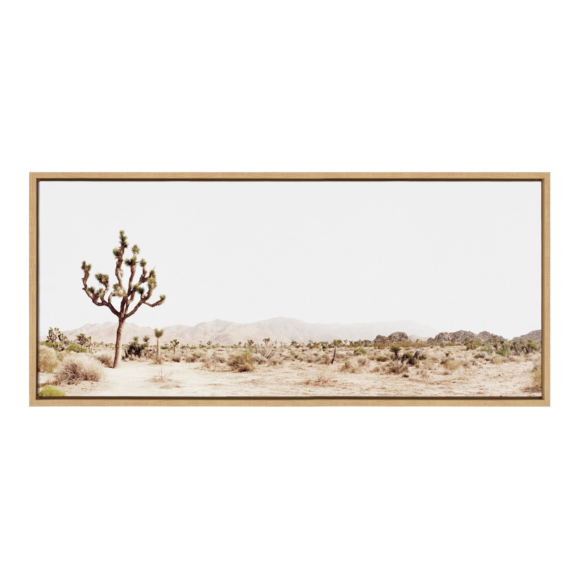 Sylvie Lone Joshua Tree Framed Canvas by Amy Peterson Art Studio by kateandlaurel - product image 11 for Resin Society
