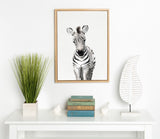 Sylvie Baby Zebra Framed Canvas by Amy Peterson by kateandlaurel - product image 5 for Resin Society