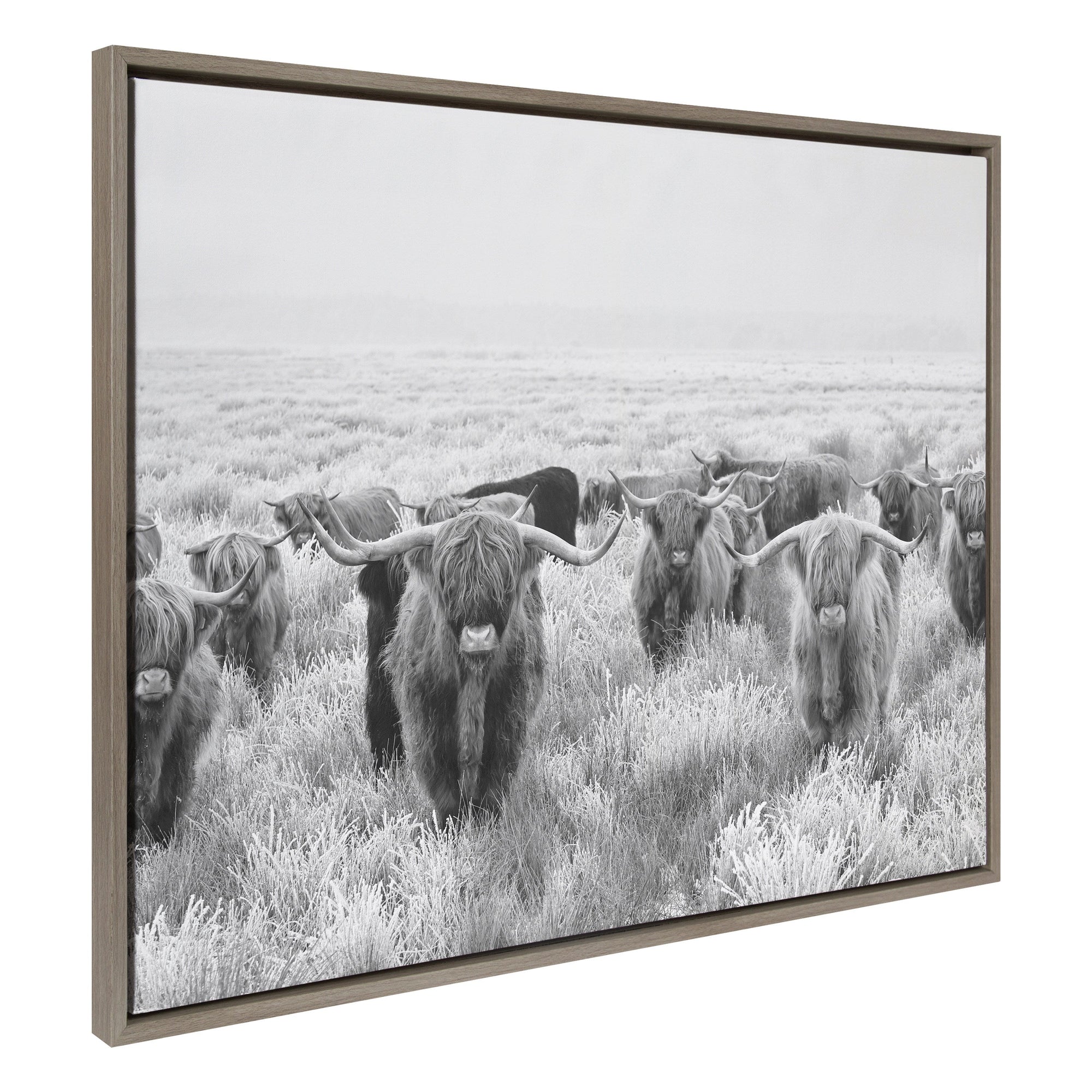Sylvie Herd of Highland Cows Black and White Framed Canvas by The by kateandlaurel - main product image for Resin Society