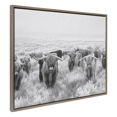 Sylvie Herd of Highland Cows Black and White Framed Canvas by The by kateandlaurel - main product image for Resin Society