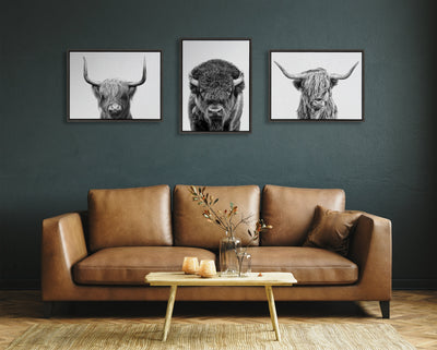 Sylvie Bison Portrait Black and White Framed Canvas by Amy Peterson Art Studio