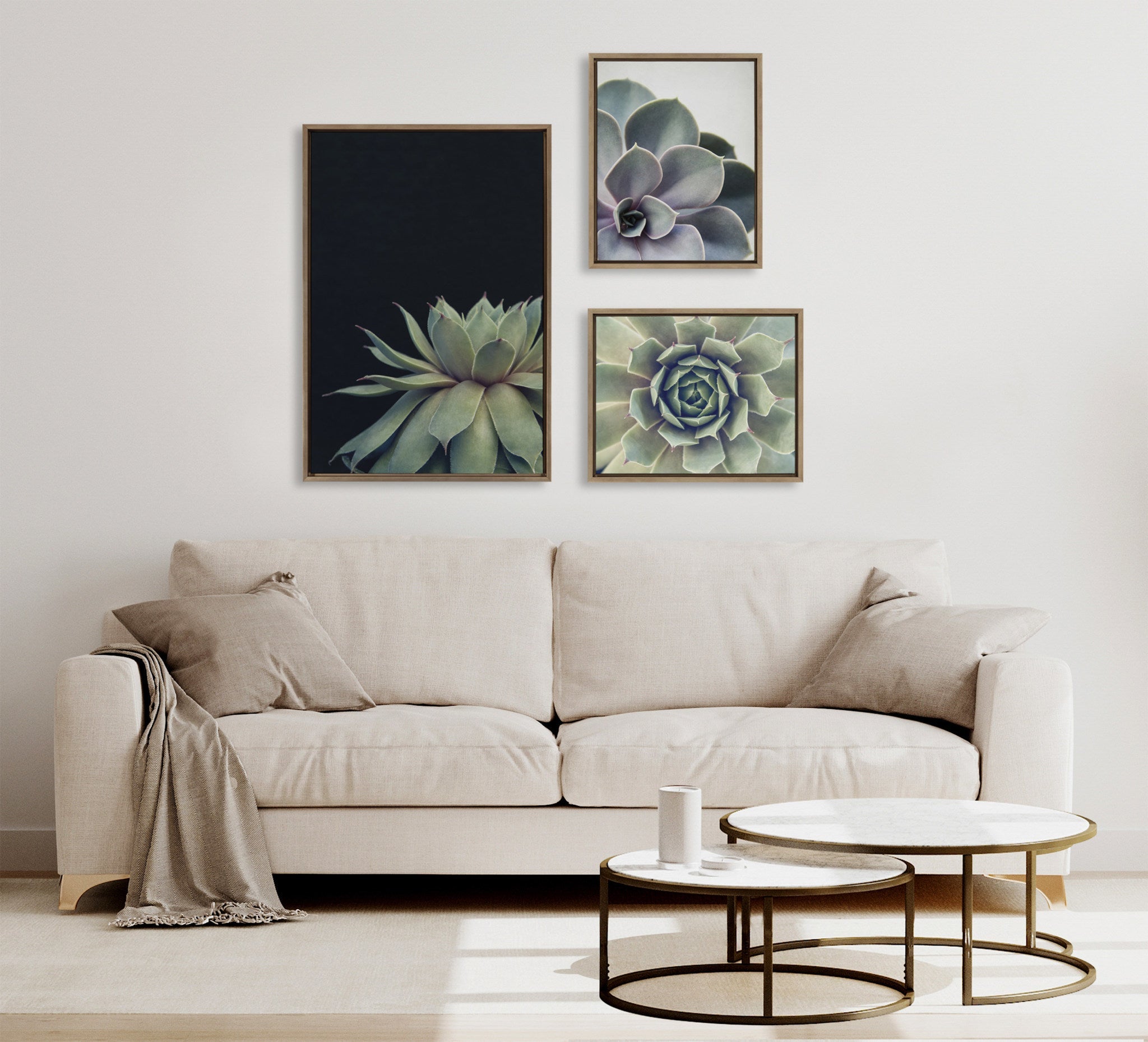 Sylvie Succulent Framed Canvas Set by Emiko and Mark Franzen of F2Images by kateandlaurel - product image 5 for Resin Society