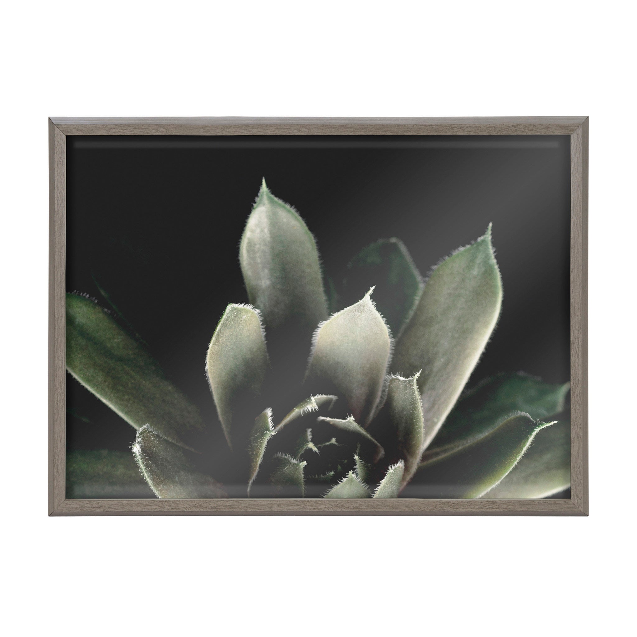 Blake Salutation Framed Printed Art by Emiko and Mark Franzen of F2Images