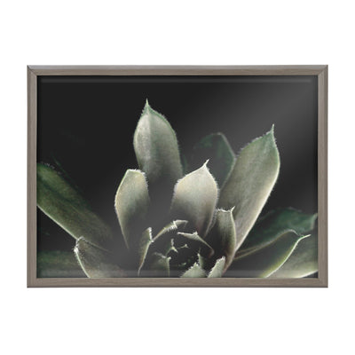 Blake Salutation Framed Printed Art by Emiko and Mark Franzen of F2Images