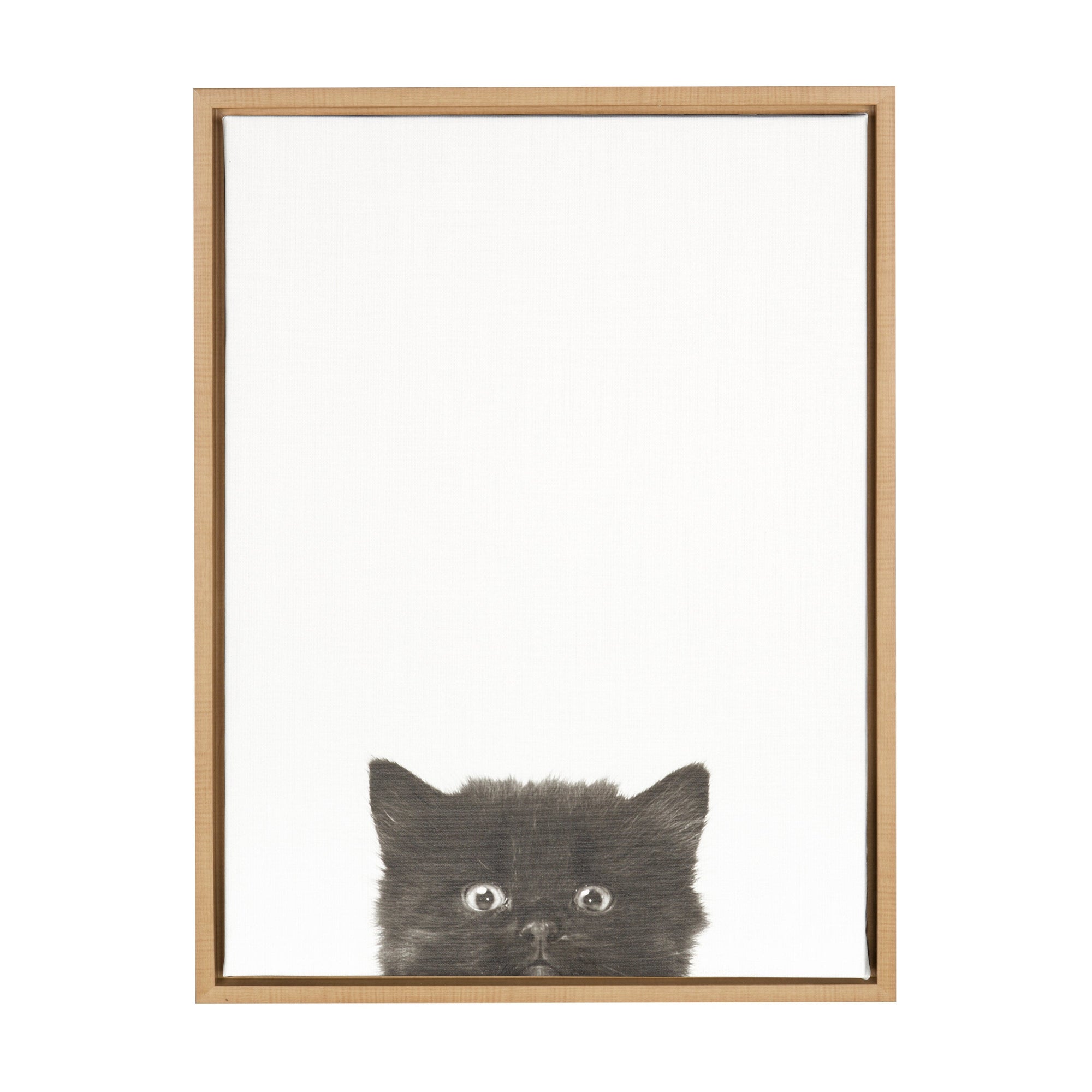 Sylvie Black Kitten Framed Canvas by Simon Te of Tai Prints by kateandlaurel - main product image for Resin Society