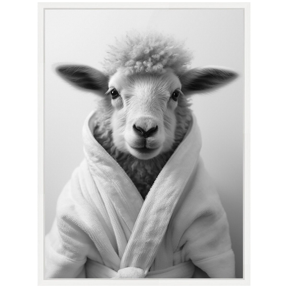 Black and white portrait of a sheep facing forward, dressed in a soft, textured bathroom robe with its fluffy wool visible around the collar.