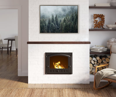 Sylvie Evergreen Dream 2 Framed Canvas by Emiko and Mark Franzen of F2Images