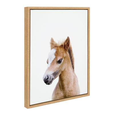 Sylvie Animal Studio Baby Horse Framed Canvas by Amy Peterson Art Studio