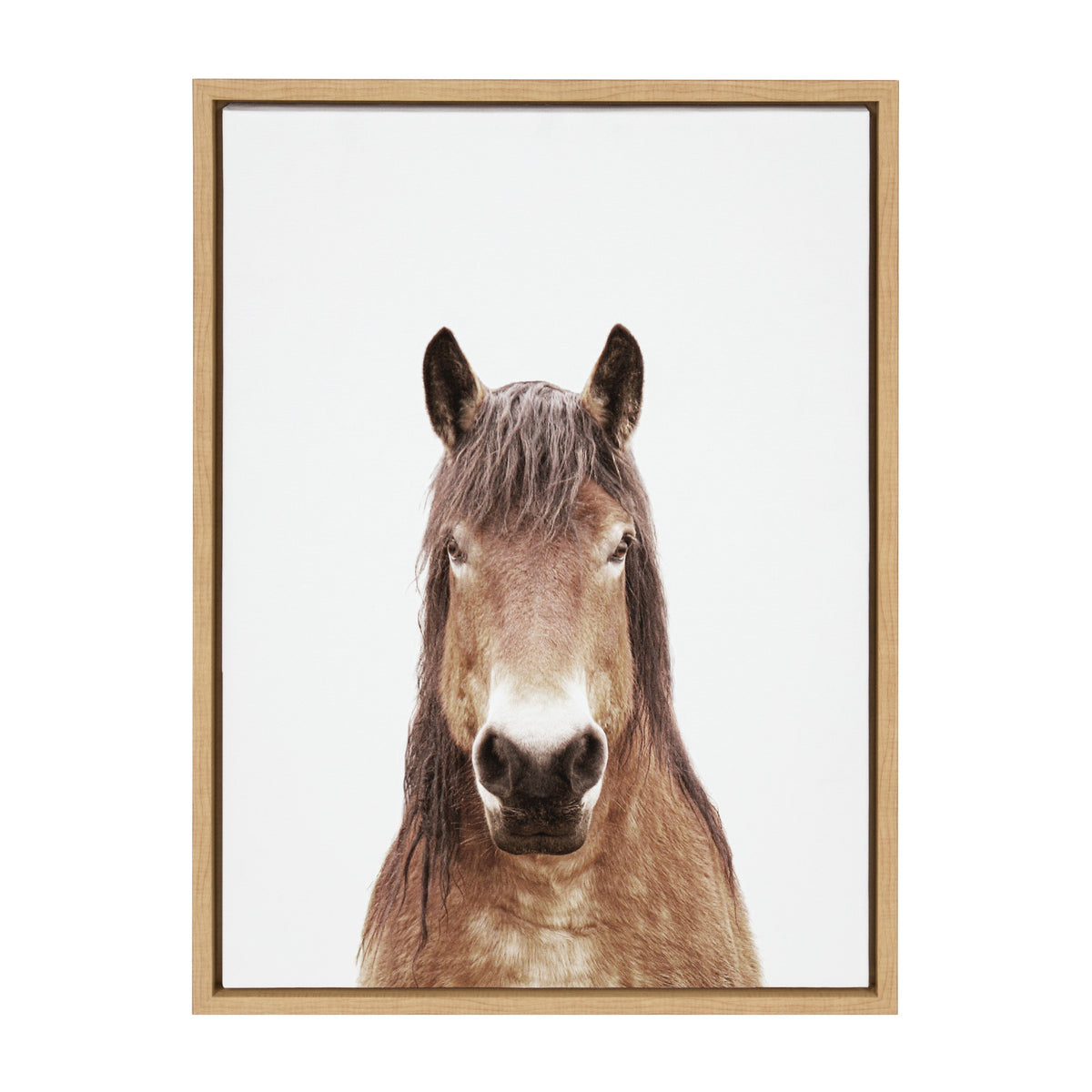 Portrait of a brown horse with a light mane and dark ears against a white background, framed in light wood with minimalistic style.