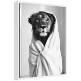 Black and white framed canvas art showing a Sylvie lioness illustration