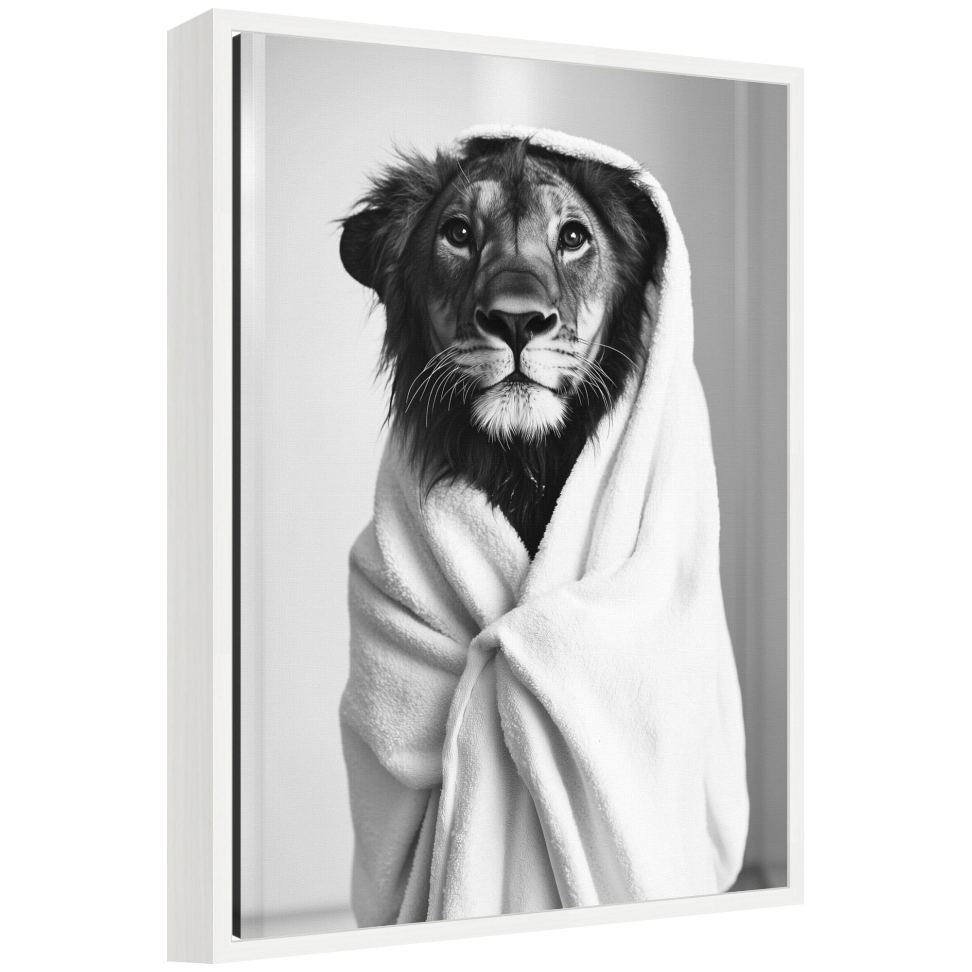 Black and white framed canvas art showing a Sylvie lioness illustration
