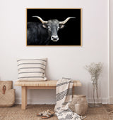 Framed canvas of a gray longhorn bull with curved horns on black background, hanging above a natural wood bench with striped pillow and matching throw in minimalist room.
