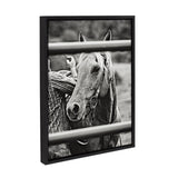 Framed canvas art of a horse being saddled, titled "Photo Saddling Horse" by The Whiskey Ginger