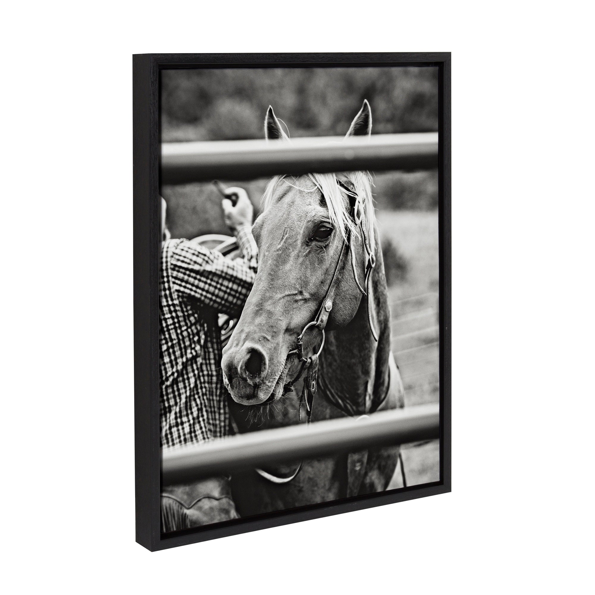 Framed canvas art of a horse being saddled, titled "Photo Saddling Horse" by The Whiskey Ginger
