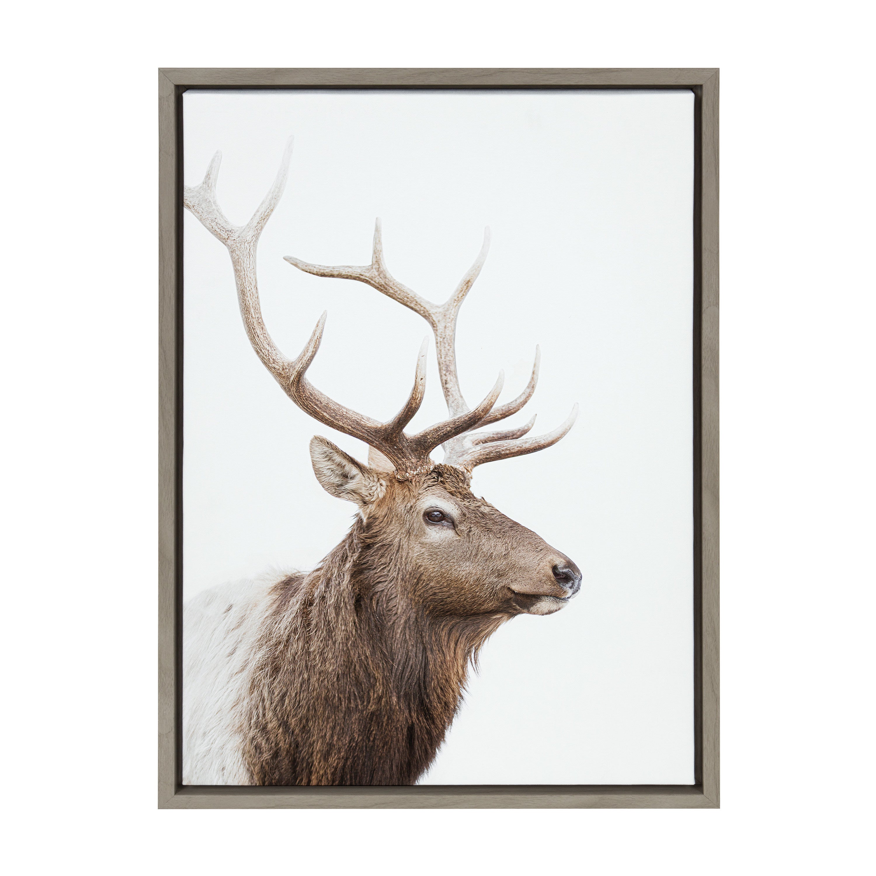 Sylvie Stag Profile Framed Canvas by Amy Peterson Art Studio