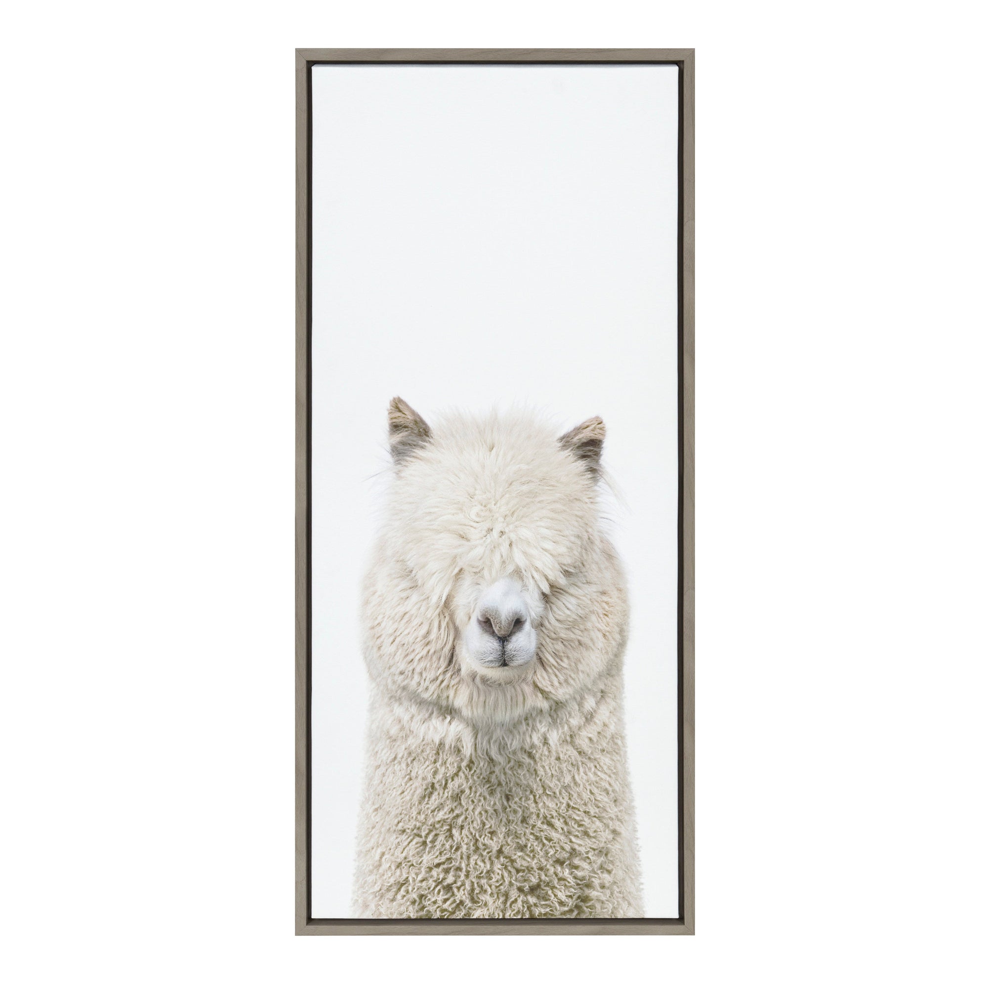 Sylvie Alpaca Fluff Framed Canvas by Amy Peterson Art Studio by kateandlaurel - main product image for Resin Society