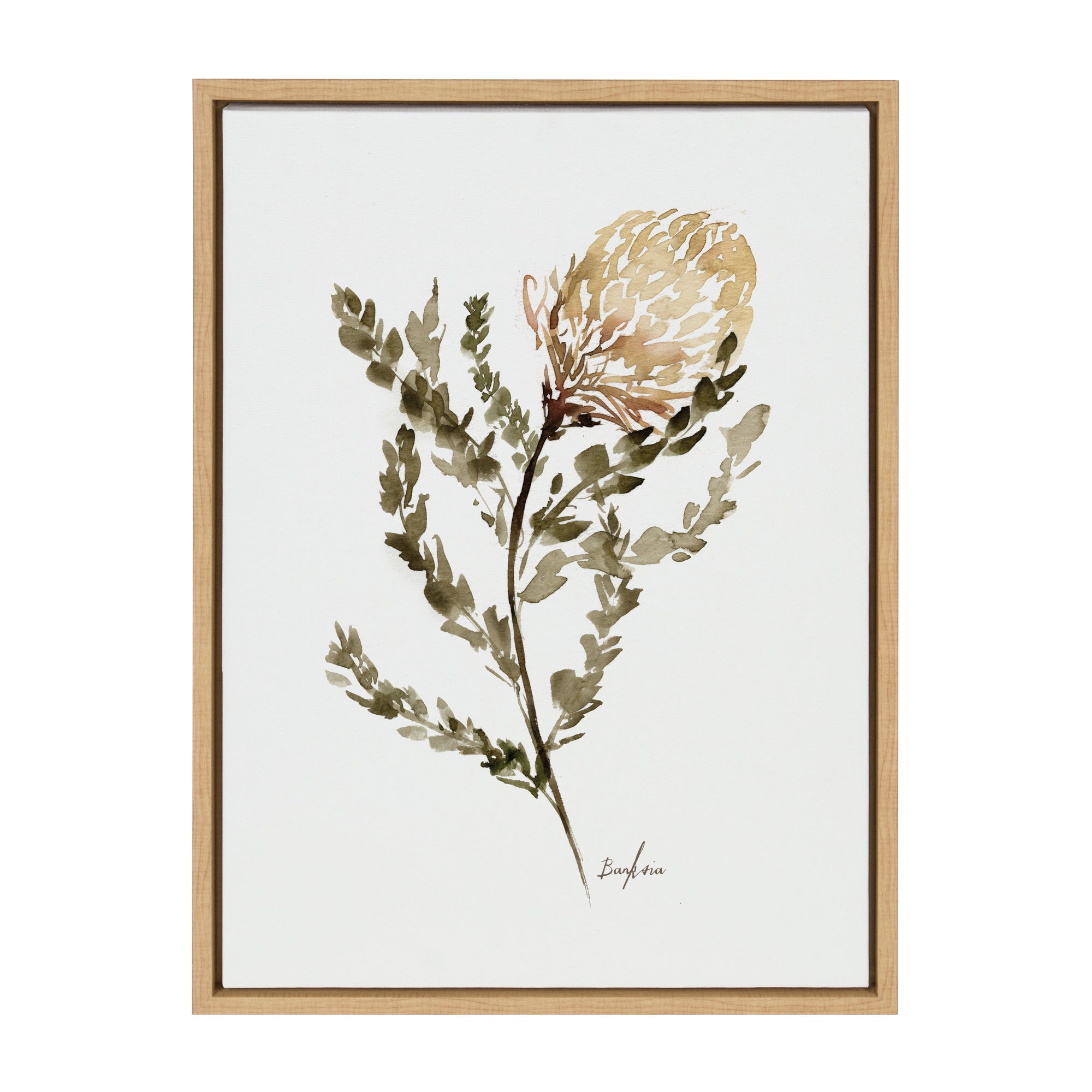 Sylvie Wild Banksia Framed Canvas by kateandlaurel - product image 11 for Resin Society