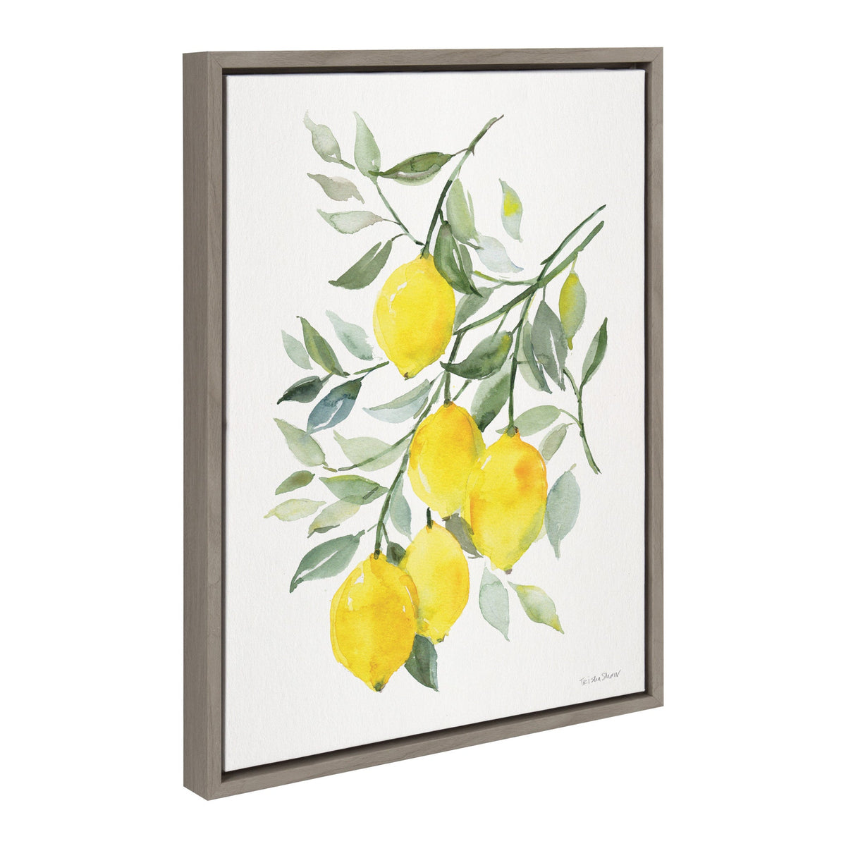 Sylvie Lemon Citrus Framed Canvas by kateandlaurel - product image 2 for Resin Society