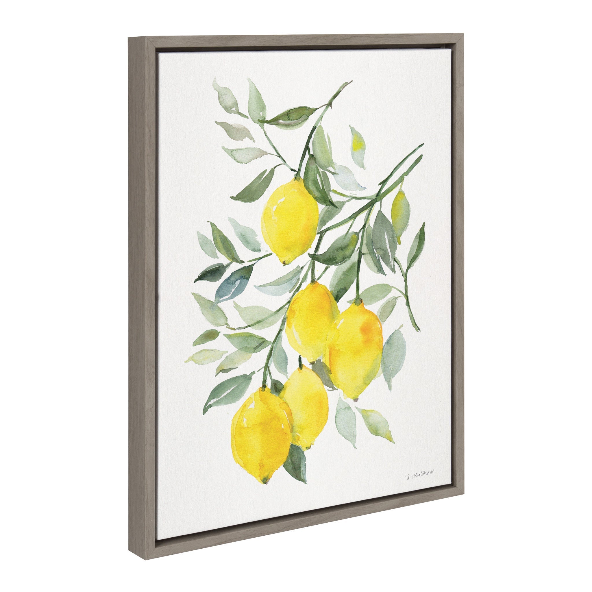 Sylvie Lemon Citrus Framed Canvas by kateandlaurel - product image 2 for Resin Society