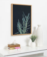 Sylvie Succulent 16 Framed Canvas by kateandlaurel - product image 5 for Resin Society