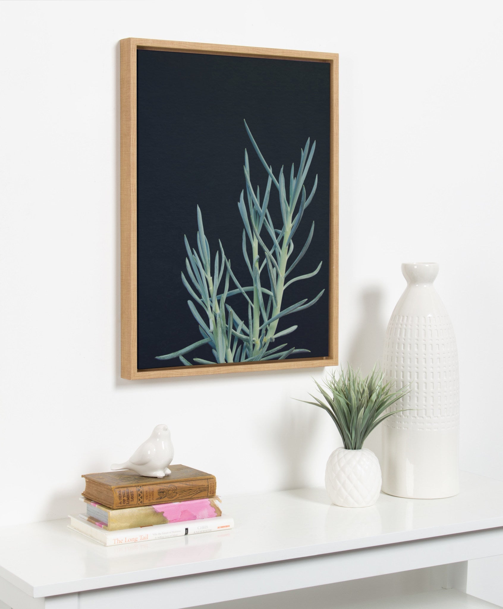 Sylvie Succulent 16 Framed Canvas by kateandlaurel - product image 5 for Resin Society