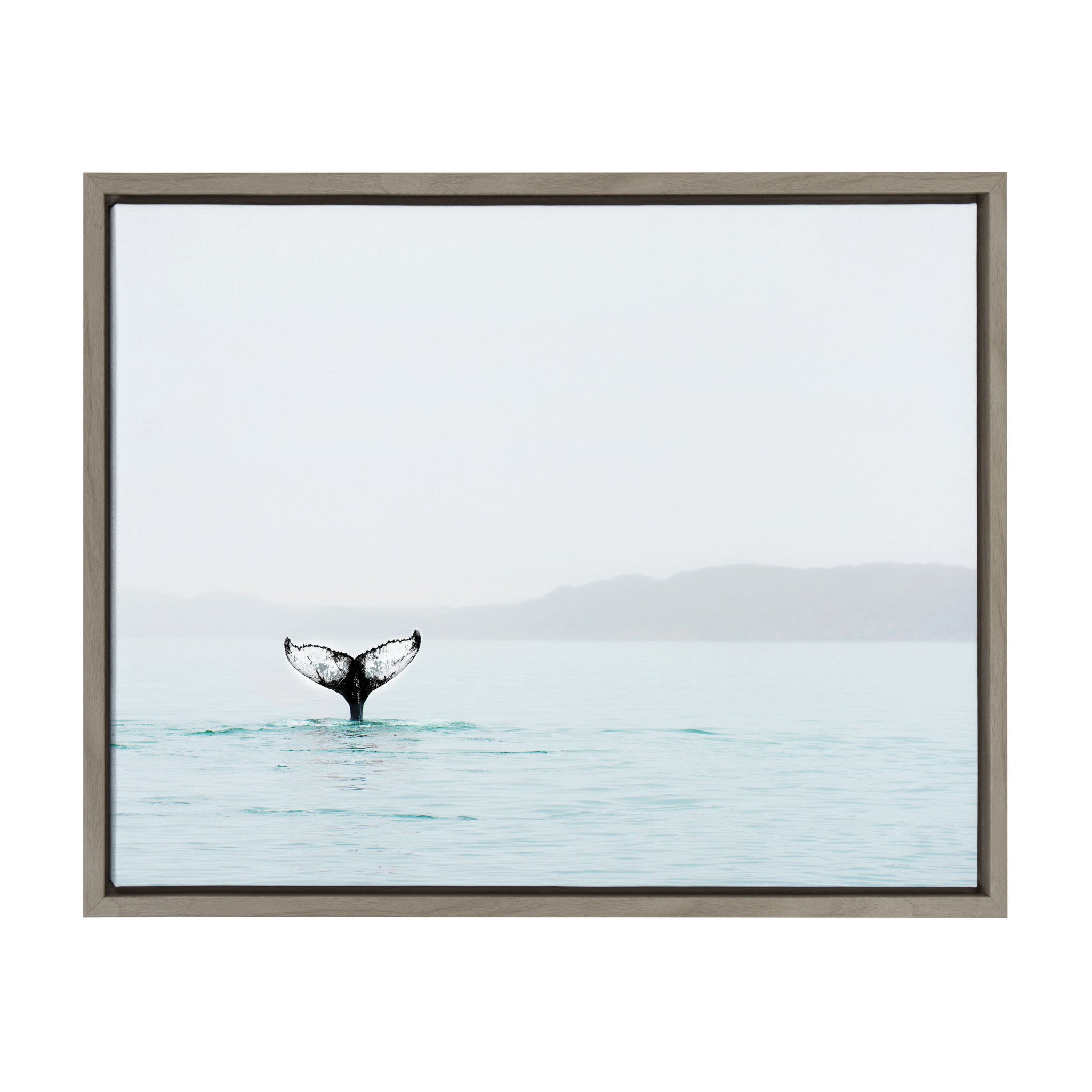 Sylvie Whale Tail In The Mist Framed Canvas by Amy Peterson by kateandlaurel - main product image for Resin Society