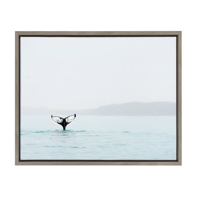 Sylvie Whale Tail In The Mist Framed Canvas by Amy Peterson by kateandlaurel - main product image for Resin Society