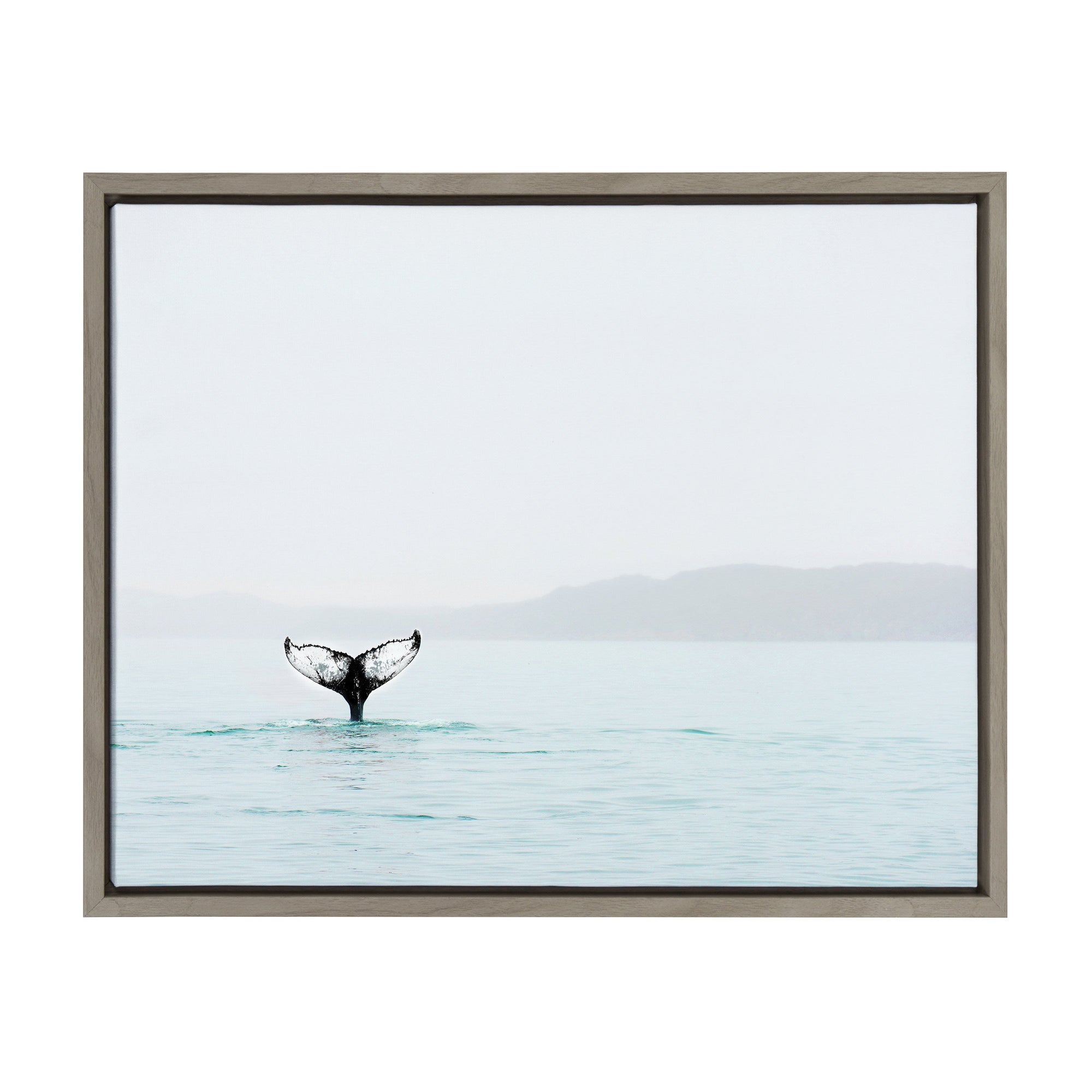 Sylvie Whale Tail In The Mist Framed Canvas by Amy Peterson by kateandlaurel - product image 7 for Resin Society