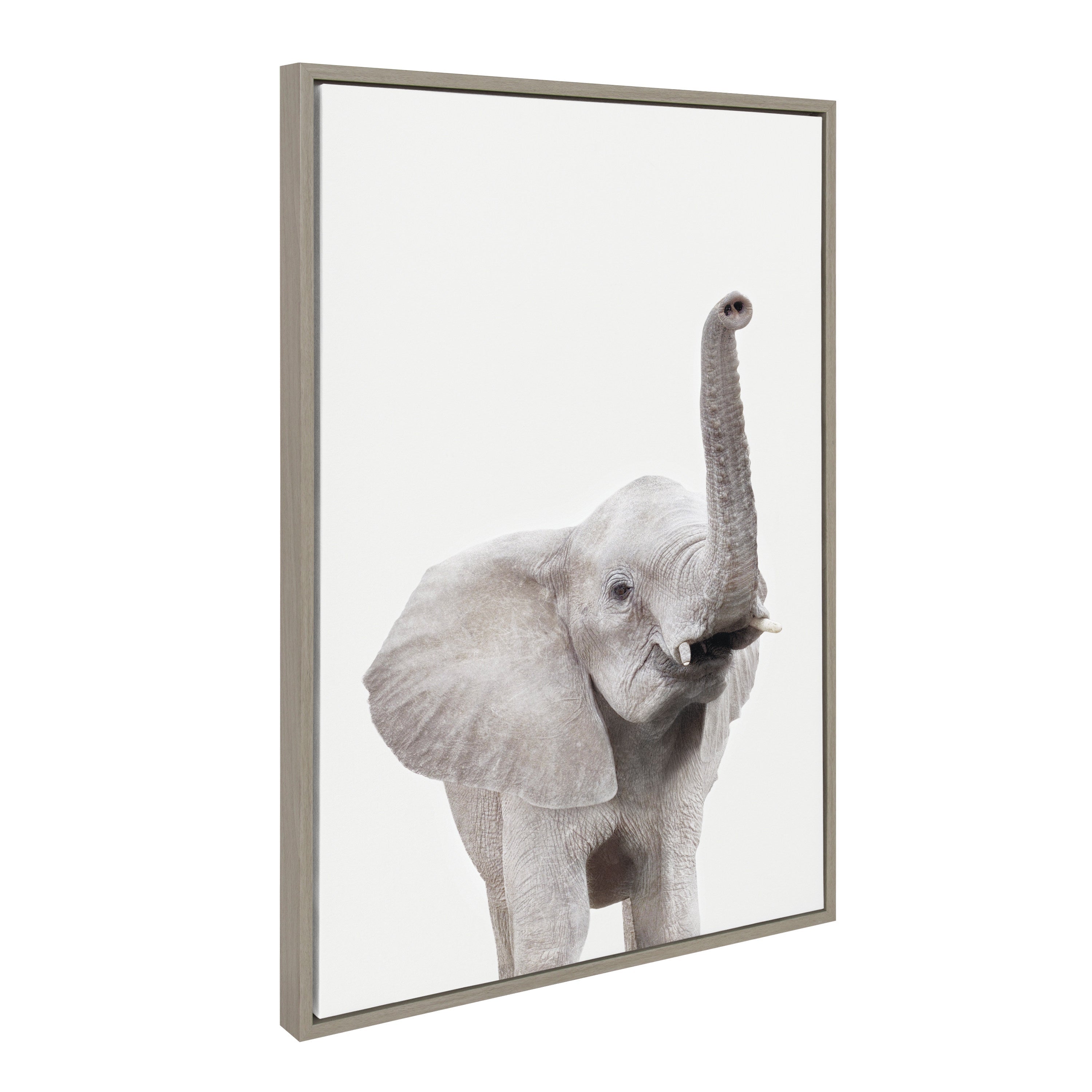 Sylvie Young Elephant Framed Canvas by Amy Peterson by kateandlaurel - product image 17 for Resin Society