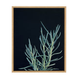 Sylvie Succulent 16 Framed Canvas by kateandlaurel - product image 7 for Resin Society