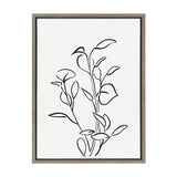 Sylvie Botanical Sketch Print No 2 Framed Canvas