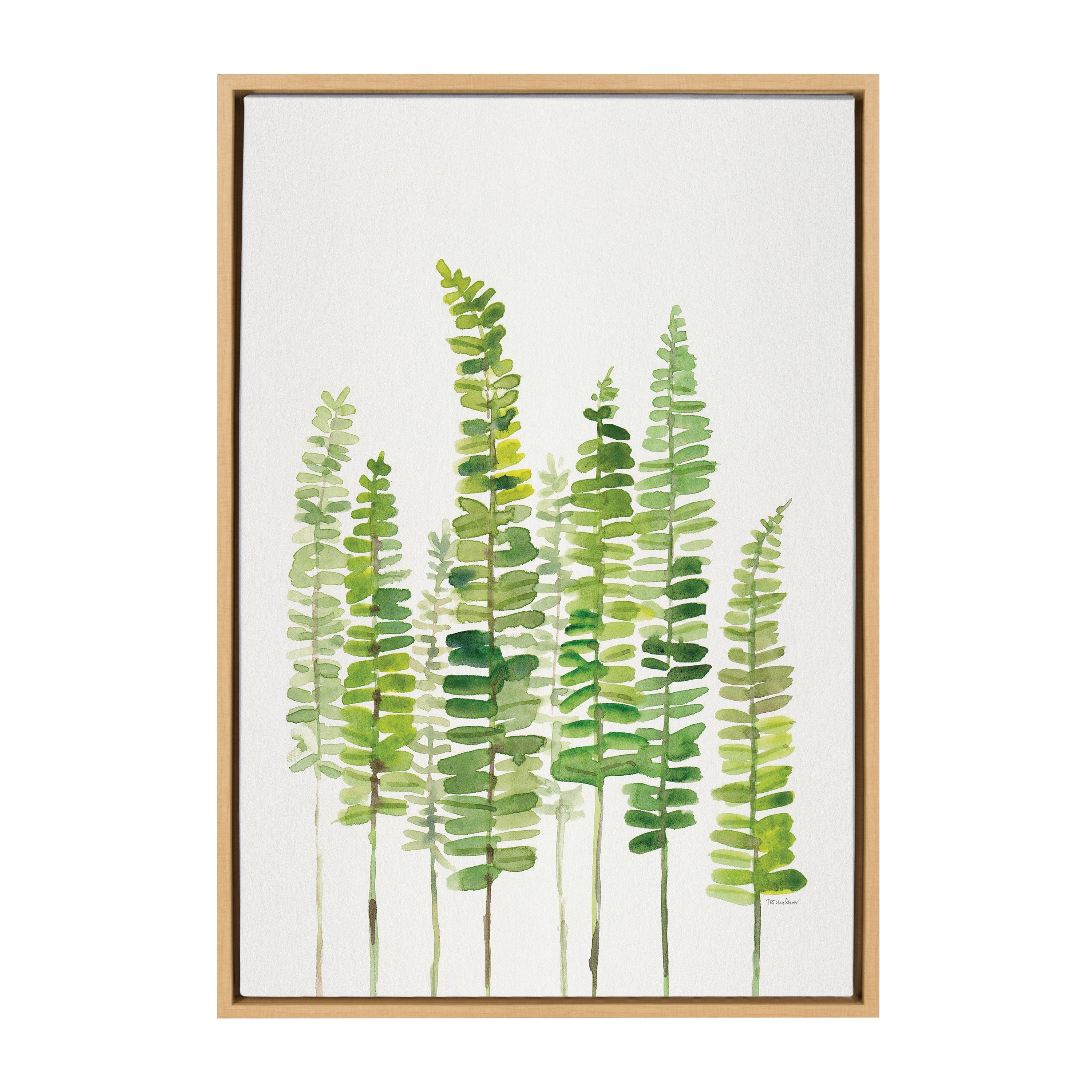 Sylvie Sword Ferns Framed Canvas by kateandlaurel - product image 9 for Resin Society