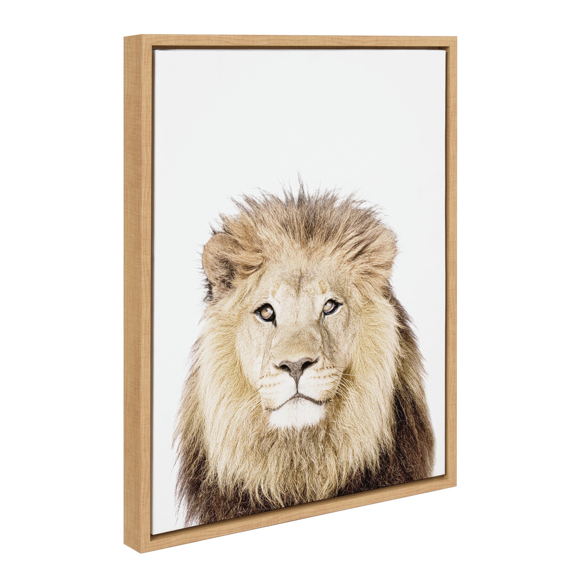 Framed canvas art of a lion's portrait titled Sylvie Lion Thinking by Amy Peterson Art Studio