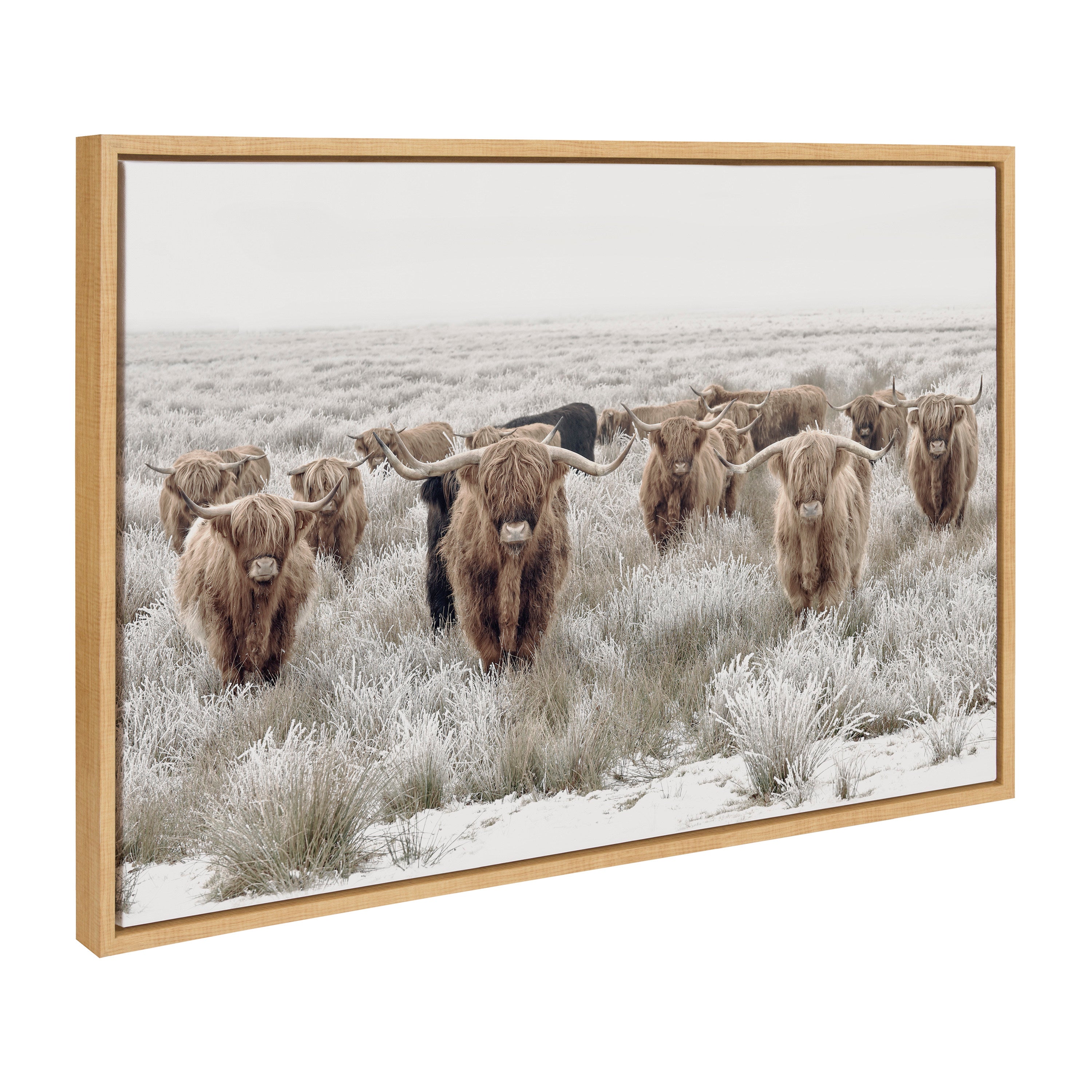 Sylvie Texas Longhorn, Highland Cow Portrait Close Color and Herd of Highland Cows Color Framed Canvas Art Set