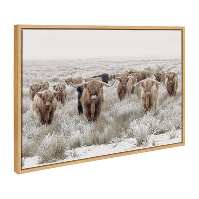 Sylvie Texas Longhorn, Highland Cow Portrait Close Color and Herd of Highland Cows Color Framed Canvas Art Set