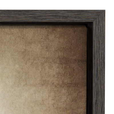 Sylvie Three Vintage Bats Framed Canvas by kateandlaurel - product image 3 for Resin Society