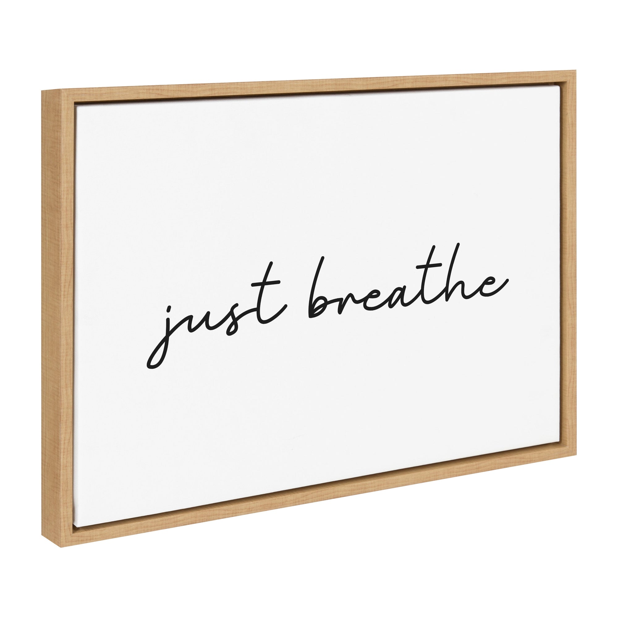 Sylvie Just Breathe Horizontal BW Framed Canvas by kateandlaurel - main product image for Resin Society